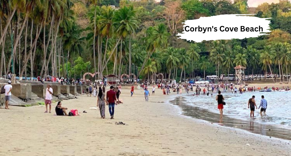 Explore Carbyn Beach with affordable trip packages from Cochin, Kerala for a perfect beach getaway