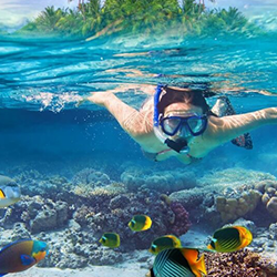 Book exciting group tour packages from Cochin to Elephant Beach for a fun-filled island adventure