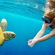 Plan your trip to Kalapathar Beach from Cochin with affordable packages and scenic travel options
