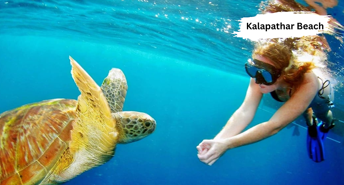 Plan your trip to Kalapathar Beach from Cochin with affordable packages and scenic travel options