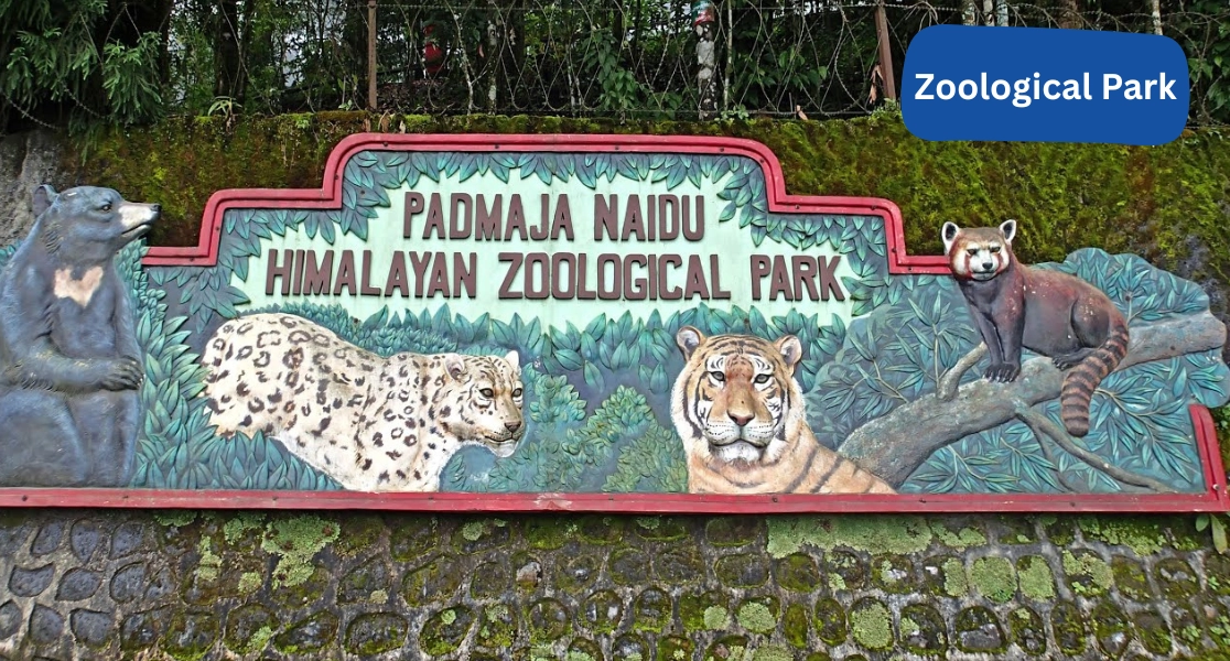 Visitors exploring diverse Himalayan animals at Darjeeling Zoological Park in a scenic setting