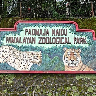 Visitors exploring diverse Himalayan animals at Darjeeling Zoological Park in a scenic setting