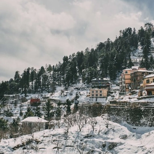 Plan a Kufri Trip From Manali For Snowy Fun & Views Family enjoying tour to Kufri sightseeing and snow fun as part of a trip from Manali hills