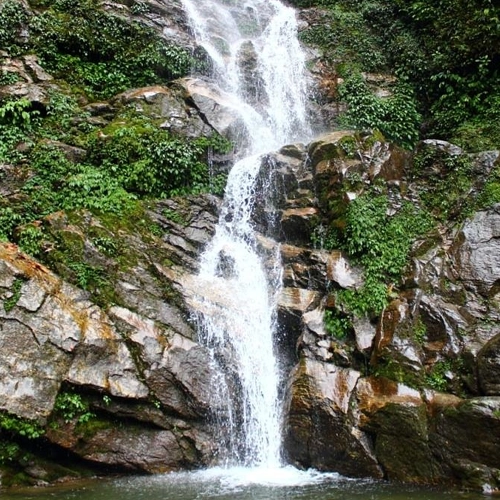 Darjeeling Sightseeing